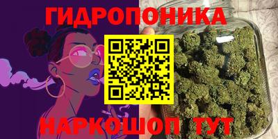 стафф Севастополь