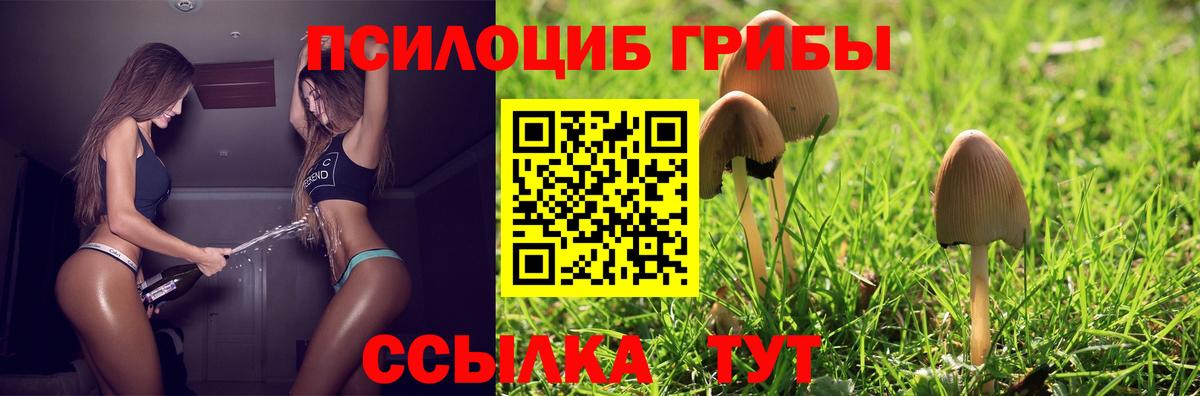 Пыть-Ях  Галлюциногенные грибы Psilocybe  Вход с VPN 
